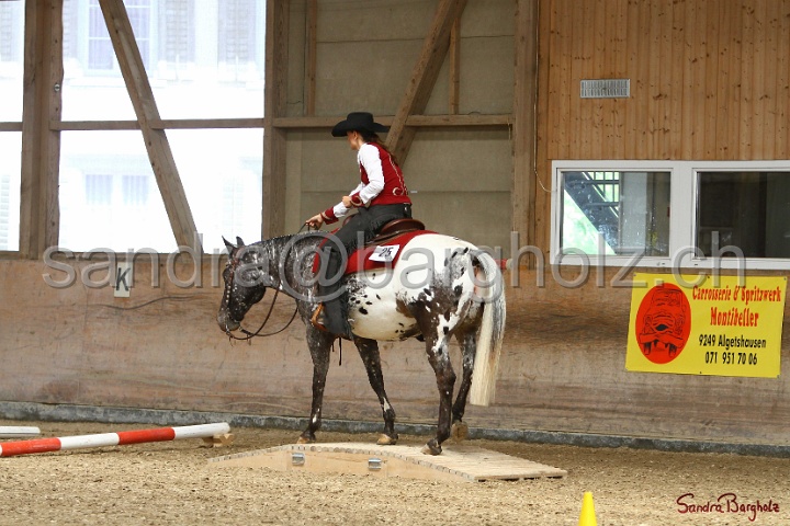 28-ApHC OT_282.jpg